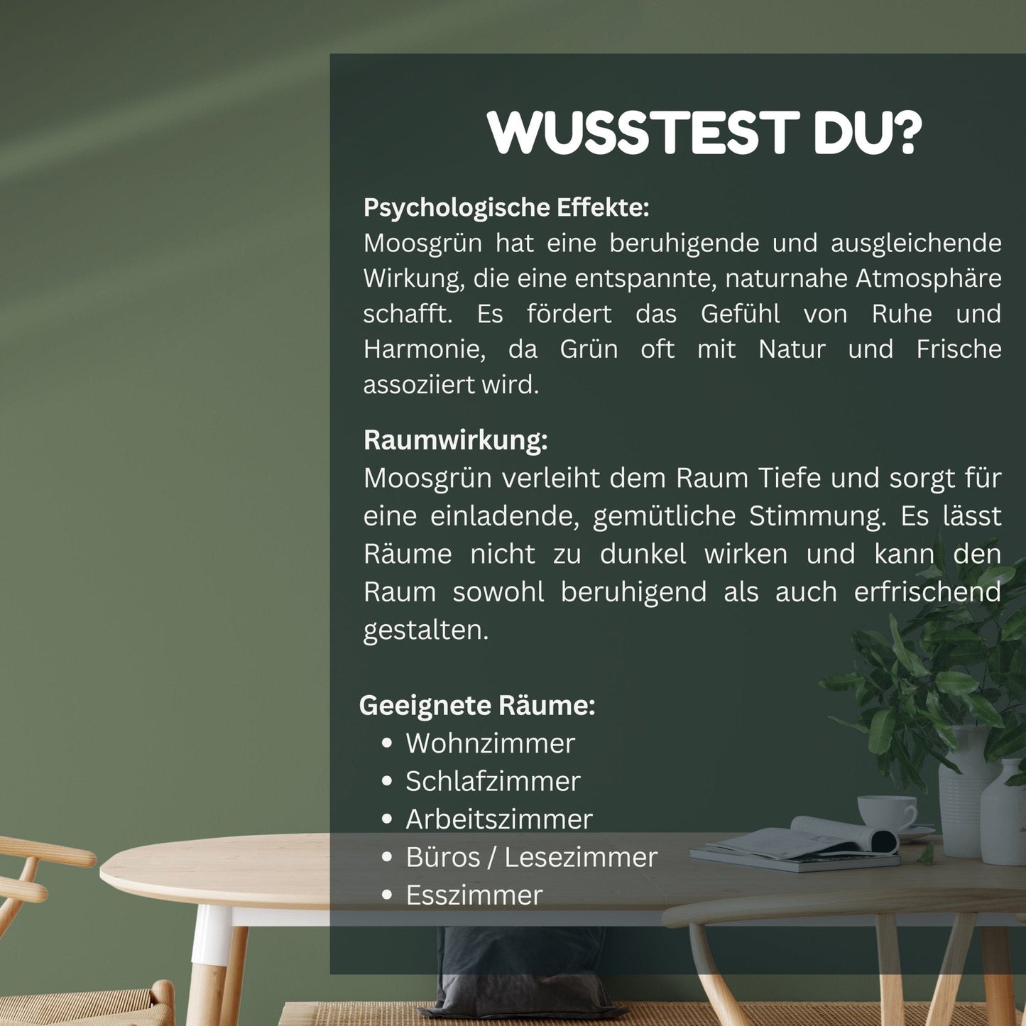 Derendo Exklusive Wandfarbe Moos Grün - 4251604928405 - Derendo