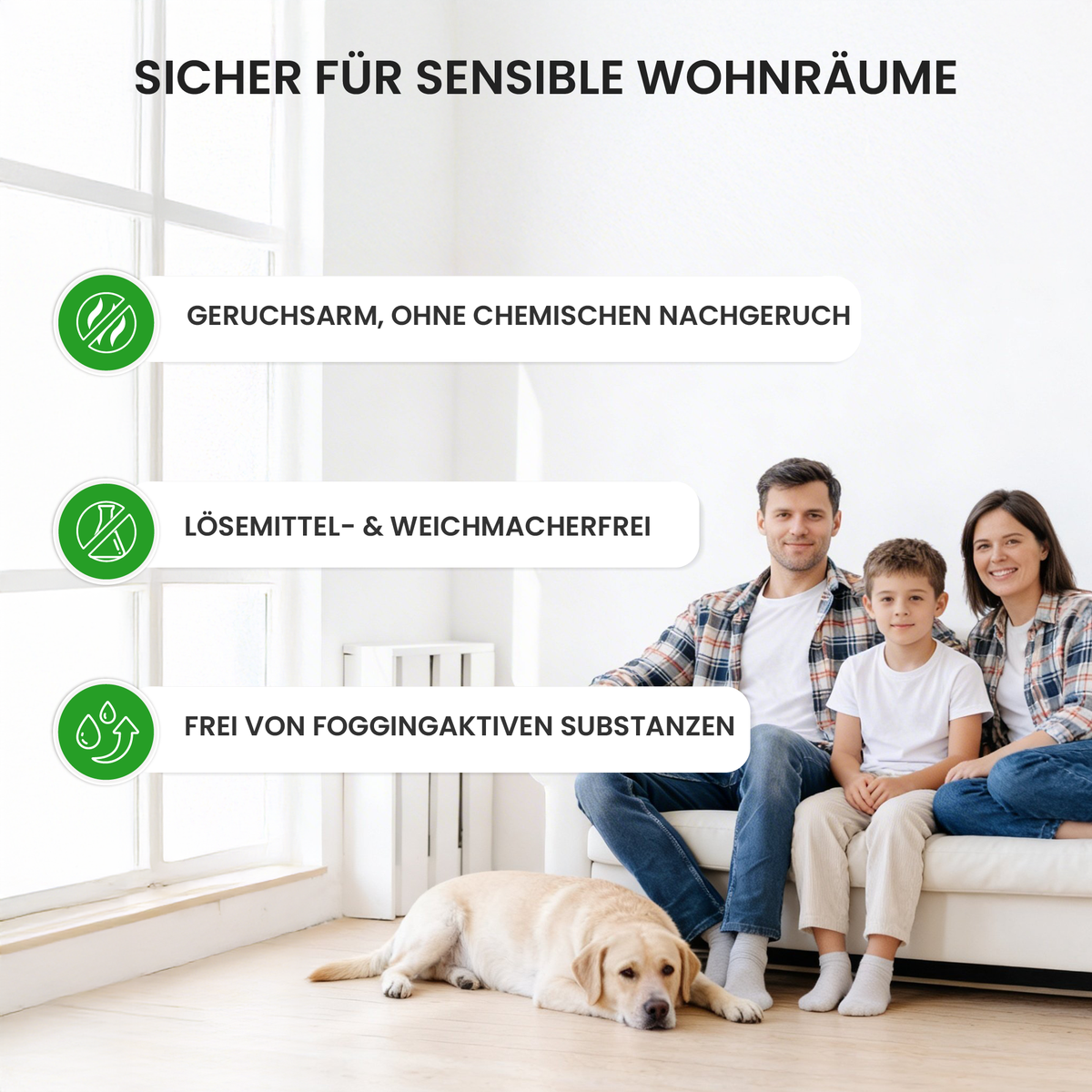 Schimmel-Set mit Anti-Schimmelfarbe, Schimmelentferner & Isolierspray