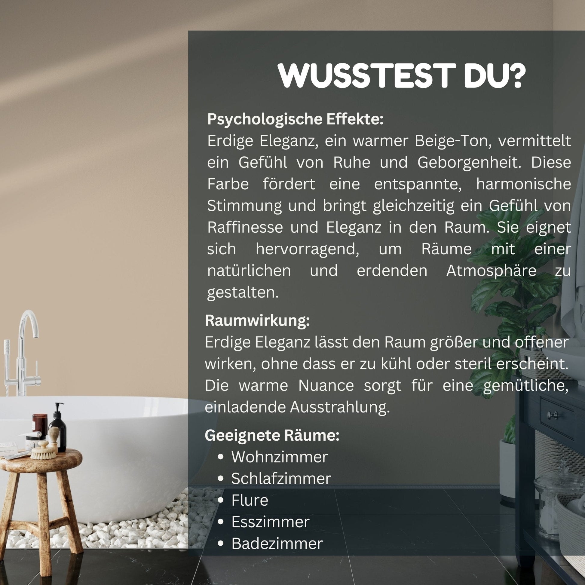 Derendo Exklusive Wandfarbe Erdige Eleganz in 5l – Produktbild von Derendo