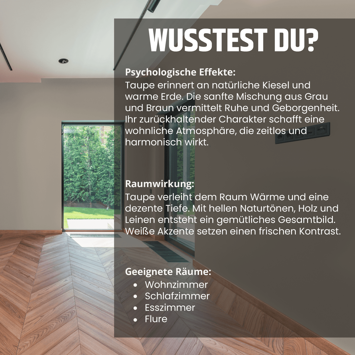 Derendo Exklusive Wandfarbe Taupe in 2.5l – Produktbild von Derendo