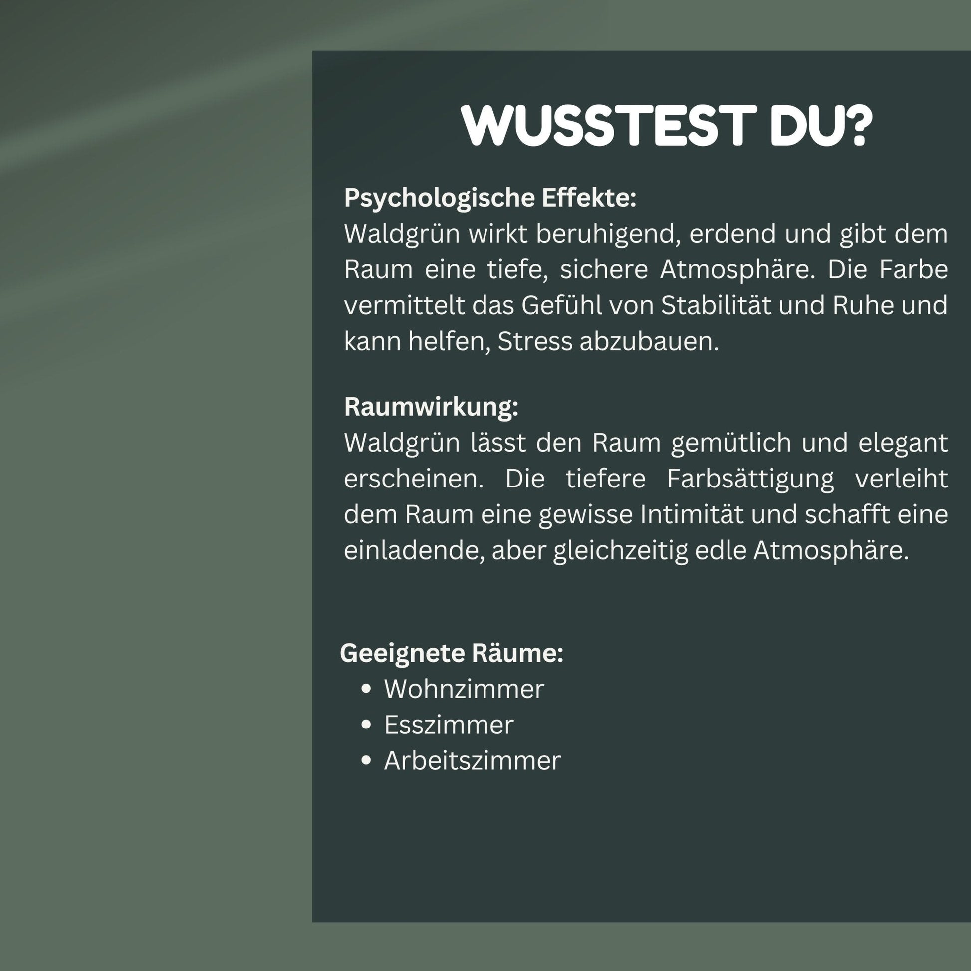 Derendo Exklusive Wandfarbe Waldgrün in 5l – Produktbild von Derendo