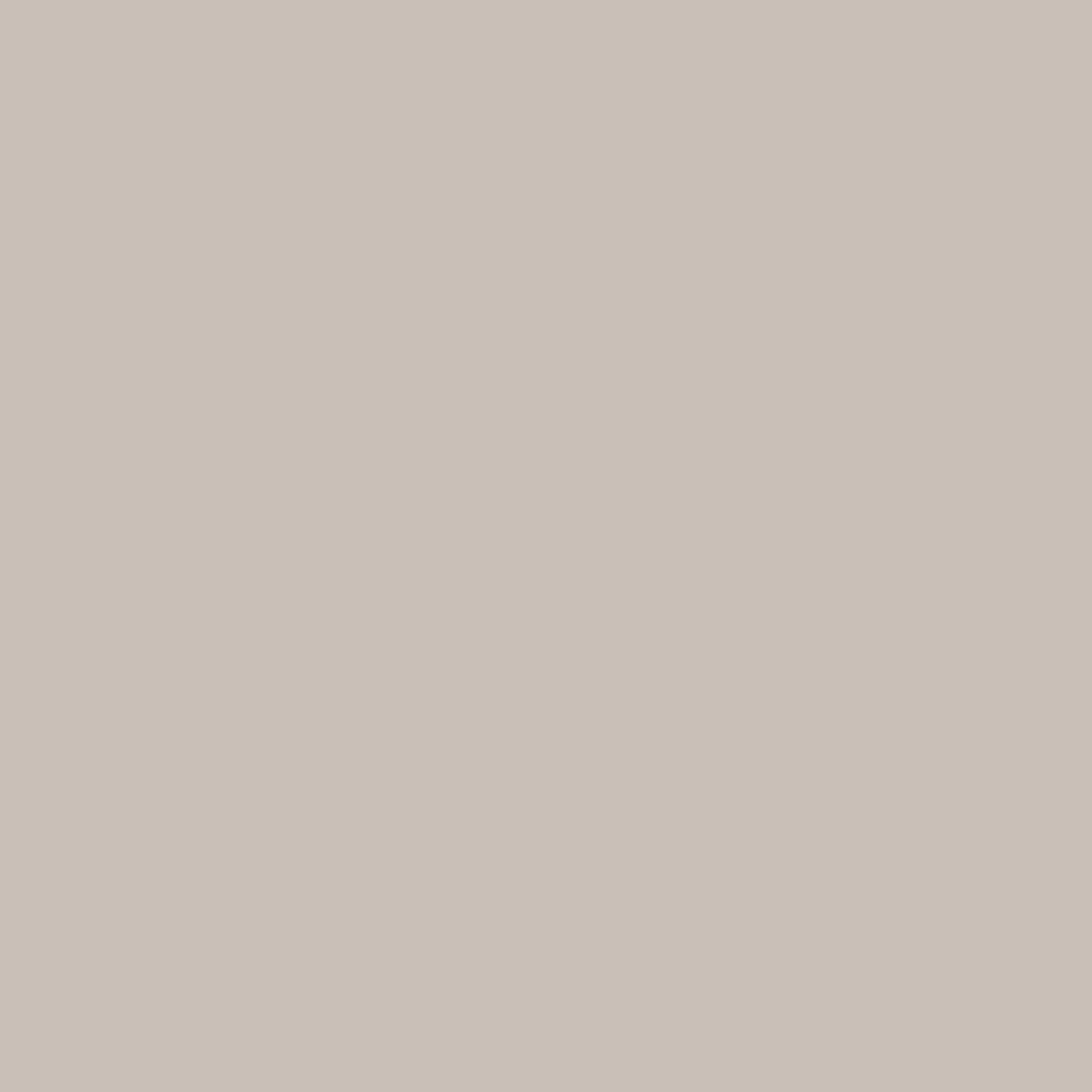 Derendo Exklusive Wandfarbe Zarter Nebel - 4251604929341 - Derendo