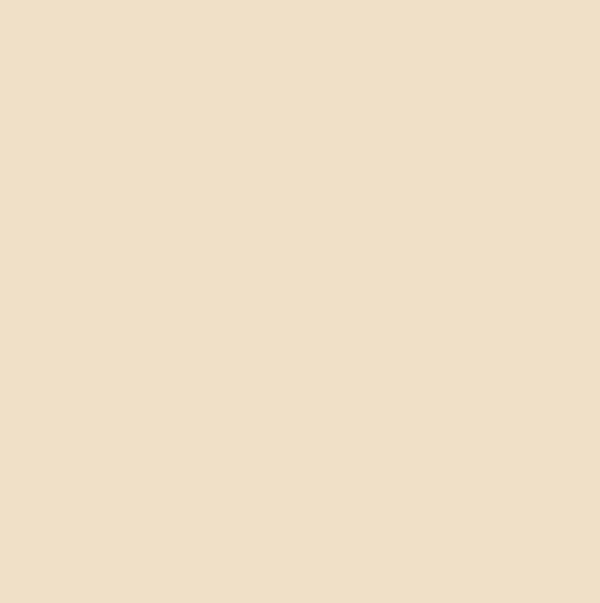 Derendo Fassadenfarbe Cremebeige mit ULTRA Wetterschutz und Abperleffekt - 4251604914873 - Derendo