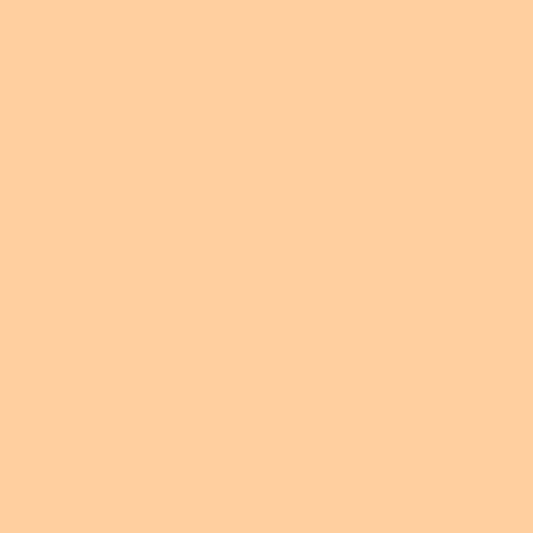 Derendo Fassadenfarbe Hellorange mit EXTRA Wetterschutz - 4251604915559 - Derendo