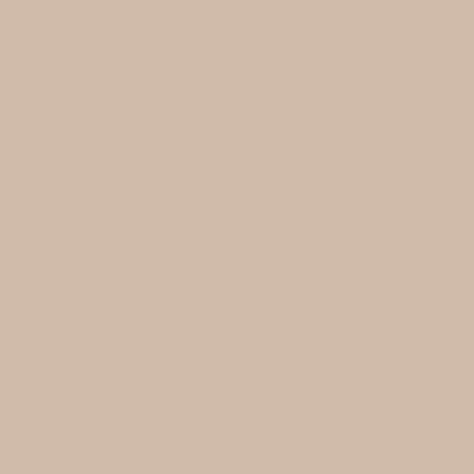 Derendo Premium Fassadenfarbe Sandbeige mit Wetterschutz und Abperleffekt - 4251604929228 - Derendo